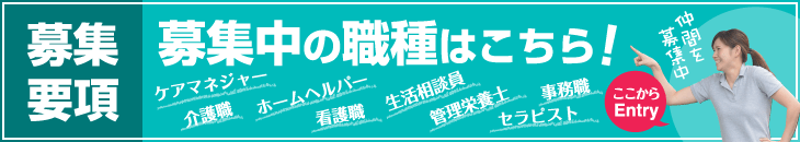 募集要項 募集中の職種はこちら! ケアマネジャー 介護職 ホームヘルパー 看護職 生活相談員 管理栄養士 事務職 理学療法士 仲間を募集中 ここからEntry